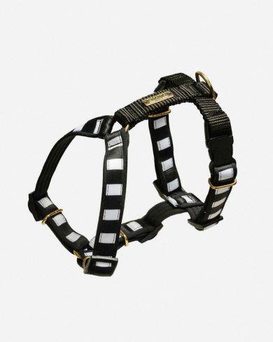 Szelki Stripes