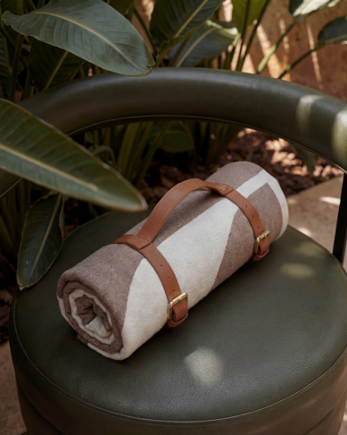 Koc w szelkach Etude